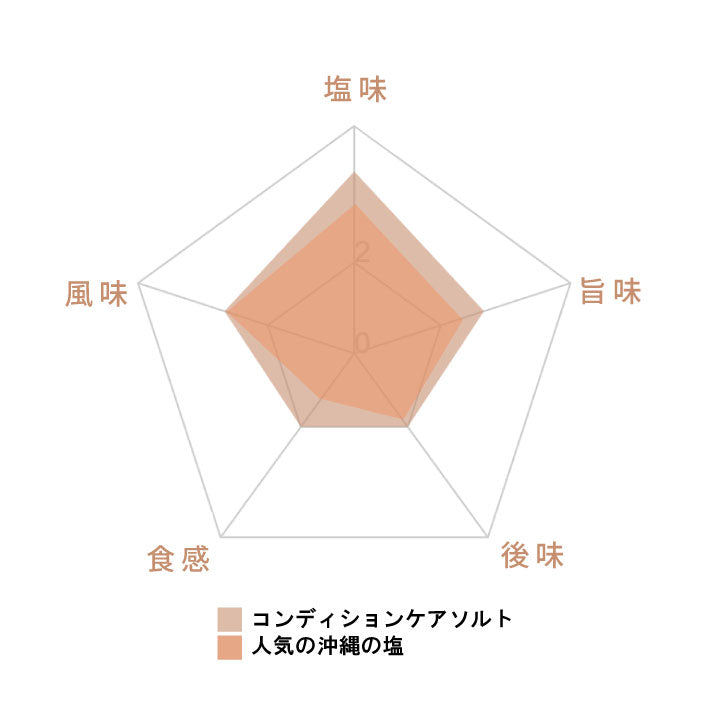 コンディションケアソルト 450g