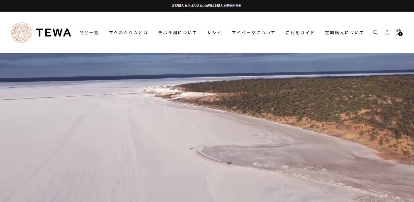 テワコーポレイション オンラインショップ