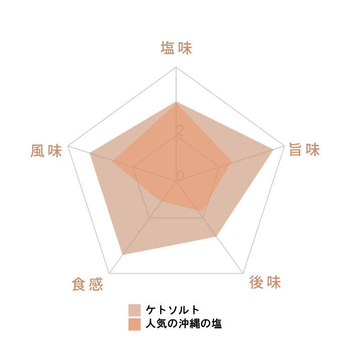 ケトソルト 100g