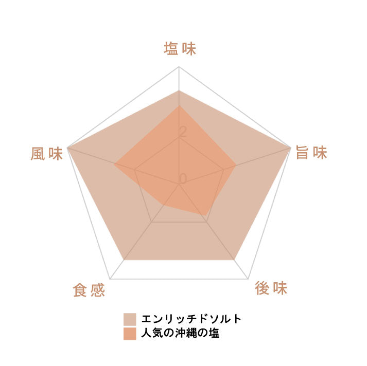 マグネシウムエンリッチドソルト 100g