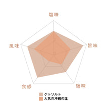ケトソルト 100g